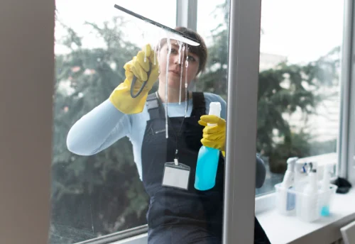 Nettoyage de vitres intérieures et extérieures à Montjoi